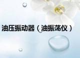 油压振动器（油振荡仪）