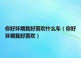 你好坏哦我好喜欢什么车（你好坏哦我好喜欢）