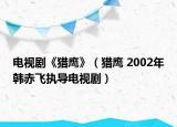 电视剧《猎鹰》（猎鹰 2002年韩赤飞执导电视剧）