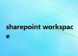 sharepoint workspace
