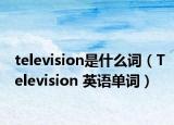 television是什么词（Television 英语单词）