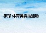 手球 体育类竞技运动