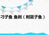 刁子鱼 鱼刺（刺篮子鱼）
