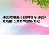 红楼梦野史是什么意思介绍(红楼梦野史是什么意思详细情况如何)