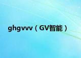 ghgvvv（GV智能）