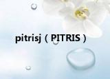 pitrisj（PITRIS）