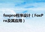 foxpro程序设计（FoxPro及其应用）