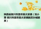 陕西省铜川市宜君县太安镇（刘小慧 铜川市宜君县太安镇脱贫办城建员）