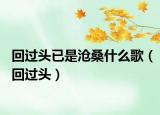 回过头已是沧桑什么歌（回过头）