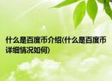 什么是百度币介绍(什么是百度币详细情况如何)