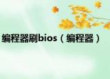 编程器刷bios（编程器）