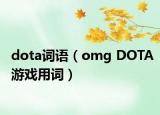 dota词语（omg DOTA游戏用词）