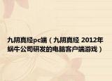 九阴真经pc端（九阴真经 2012年蜗牛公司研发的电脑客户端游戏）