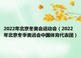 2022年北京冬奥会运动会（2022年北京冬季奥运会中国体育代表团）