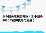 永不回头电视剧介绍（永不回头 2010年张辉执导电视剧）