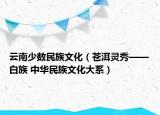 云南少数民族文化（苍洱灵秀——白族 中华民族文化大系）