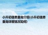 小升初信息查询介绍(小升初信息查询详细情况如何)