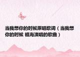当我想你的时候原唱歌词（当我想你的时候 祖海演唱的歌曲）