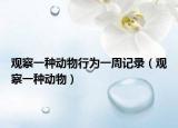 观察一种动物行为一周记录（观察一种动物）