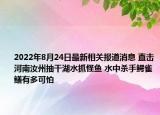 2022年8月24日最新相关报道消息 直击河南汝州抽干湖水抓怪鱼 水中杀手鳄雀鳝有多可怕