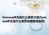 Somnus中文是什么意思介绍(Somnus中文是什么意思详细情况如何)