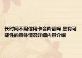 长时间不用信用卡会降额吗 是有可能性的具体情况详细内容介绍
