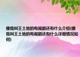 像我叫王土地的电视剧还有什么介绍(像我叫王土地的电视剧还有什么详细情况如何)