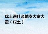 戊土遇什么地支大富大贵（戊土）