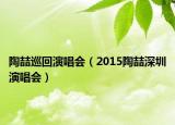 陶喆巡回演唱会（2015陶喆深圳演唱会）