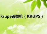 krups破壁机（KRUPS）