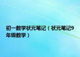 初一数学状元笔记（状元笔记9年级数学）