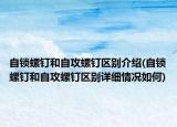自锁螺钉和自攻螺钉区别介绍(自锁螺钉和自攻螺钉区别详细情况如何)