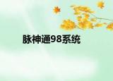 脉神通98系统