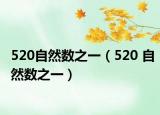 520自然数之一（520 自然数之一）