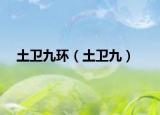 土卫九环（土卫九）