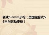 新式5.8mm步枪（美国组合式5.6MM运动步枪）