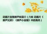 动画片金刚葫芦娃简介（六娃 动画片《葫芦兄弟》《葫芦小金刚》中的角色）