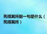 死得其所前一句是什么（死得其所）