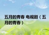 五月的青春 电视剧（五月的青春）