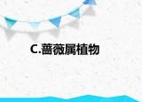 C.蔷薇属植物