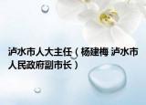 泸水市人大主任（杨建梅 泸水市人民政府副市长）