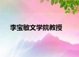 李宝敏文学院教授