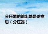 分压器的输出端是啥意思（分压器）