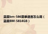 蓝晨bm-586菜单语言怎么调（蓝晨BM-5814GB）