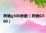 奔驰g500参数（奔驰G500）
