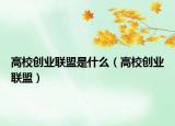 高校创业联盟是什么（高校创业联盟）