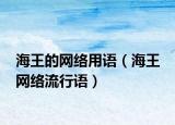 海王的网络用语（海王 网络流行语）