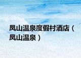 凤山温泉度假村酒店（凤山温泉）