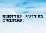 黄磊的年华似水（似水年华 黄磊自导自演电视剧）
