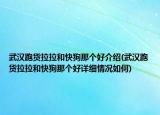 武汉跑货拉拉和快狗那个好介绍(武汉跑货拉拉和快狗那个好详细情况如何)
